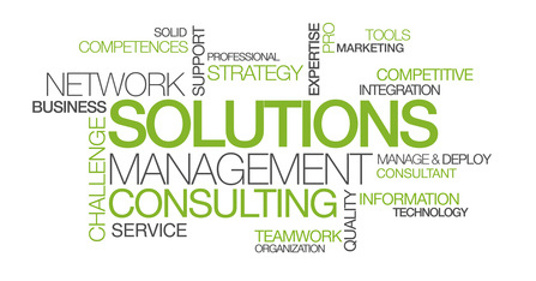 Solutions, management consulting, IT Strategy, Information Technology